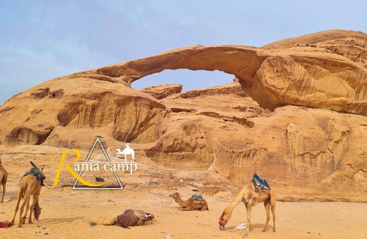 Wadi Rum,Rania Camp Exterior photo